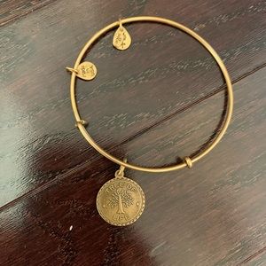 Alex and Ani Charm Bangle